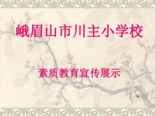 川主小学素质教育宣传