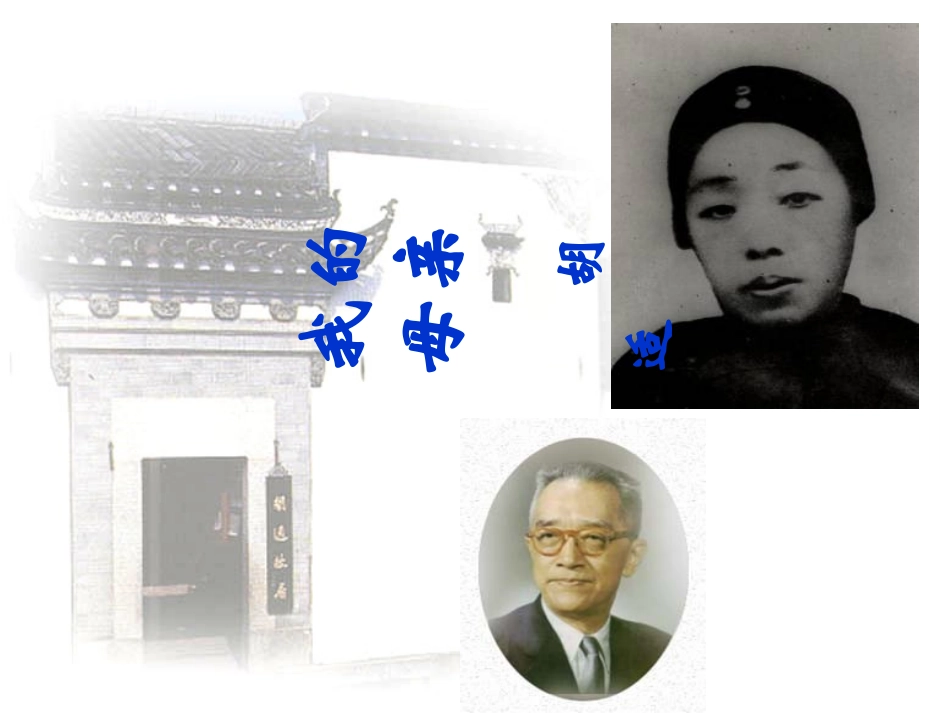 我的母亲 (2)_第2页