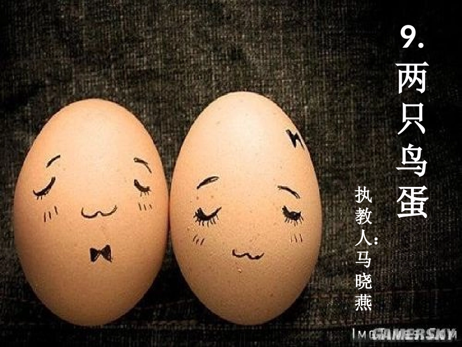 两只鸟蛋课件_第1页