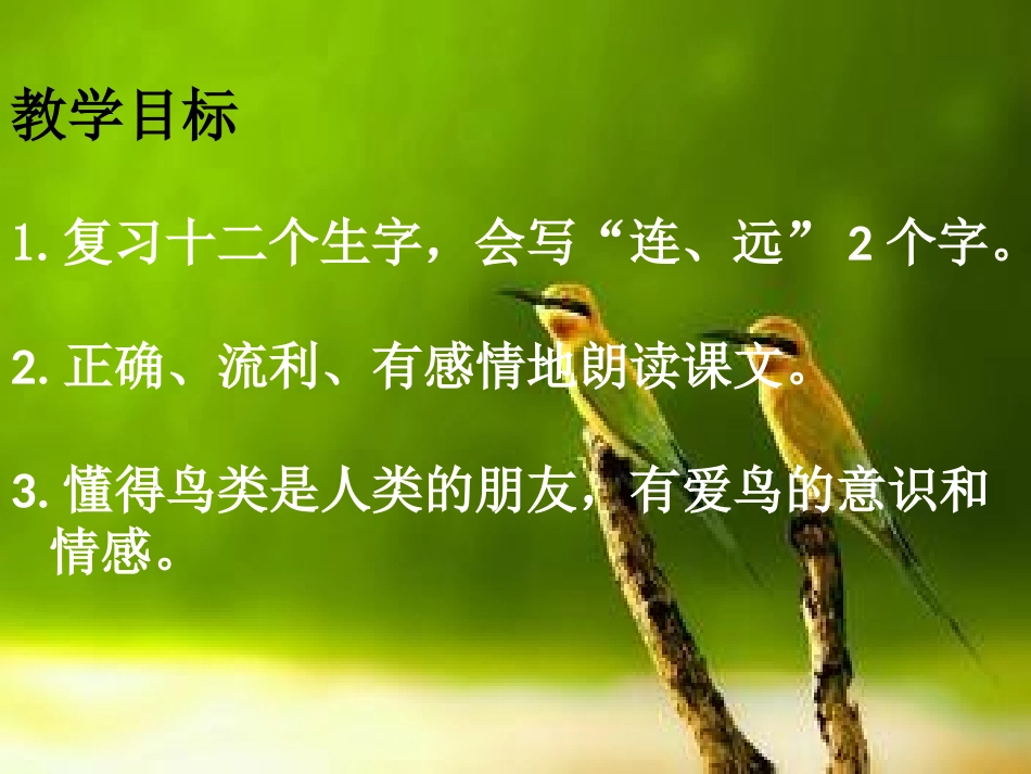 两只鸟蛋课件_第2页