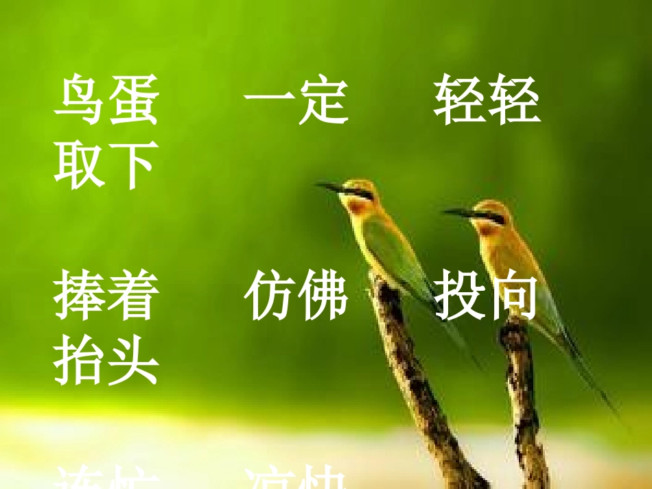 两只鸟蛋课件_第3页