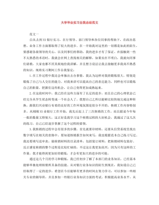 大学毕业实习自我总结范文 