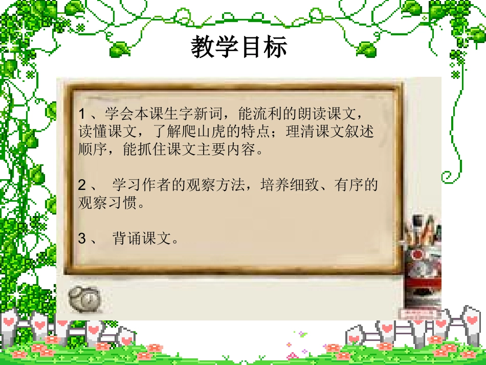 《爬山虎的脚》演示文稿_第3页