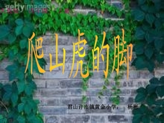 《爬山虎的脚》演示文稿