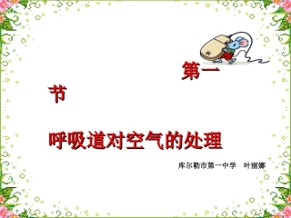一中叶丽娜呼吸道对空气的处理
