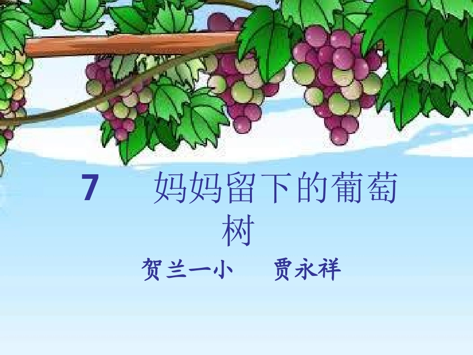 妈妈留下的葡萄树_第1页