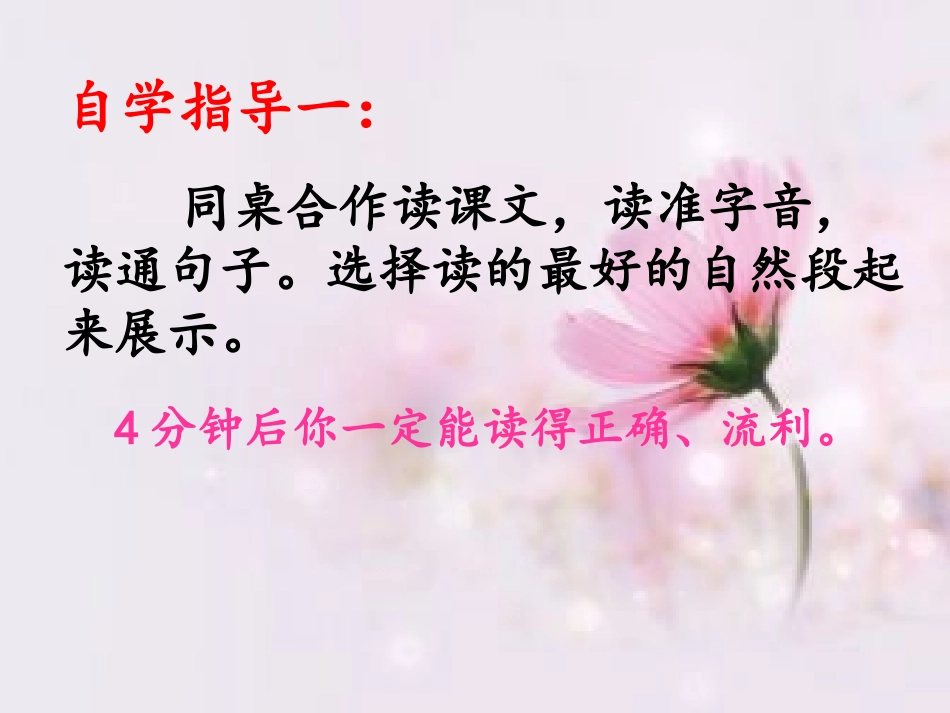 妈妈留下的葡萄树_第3页
