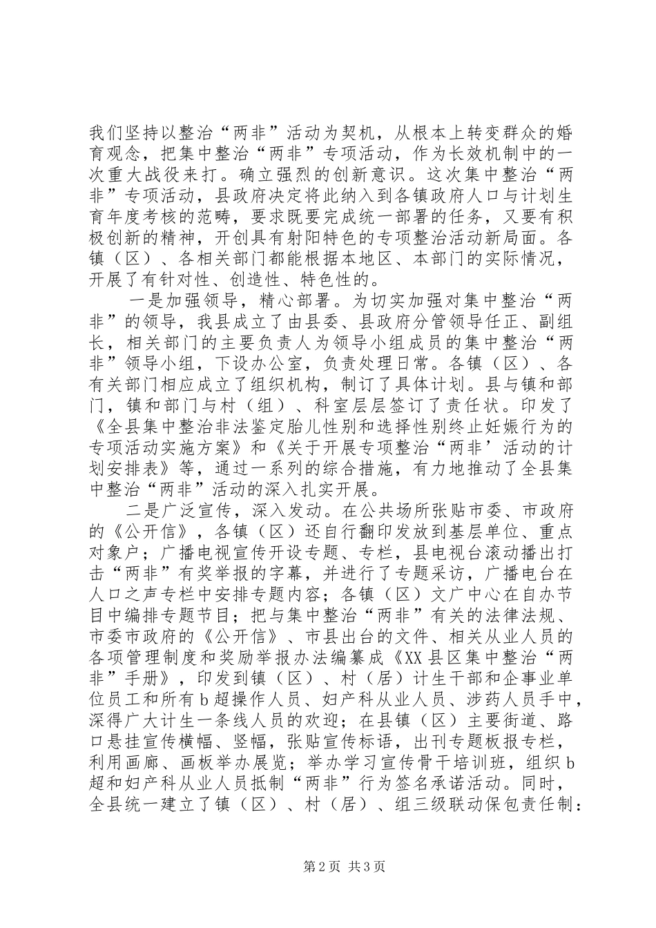 关于两项专项整治工作情况的汇报_第2页