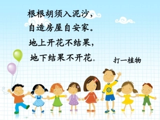 落花生(完美版)