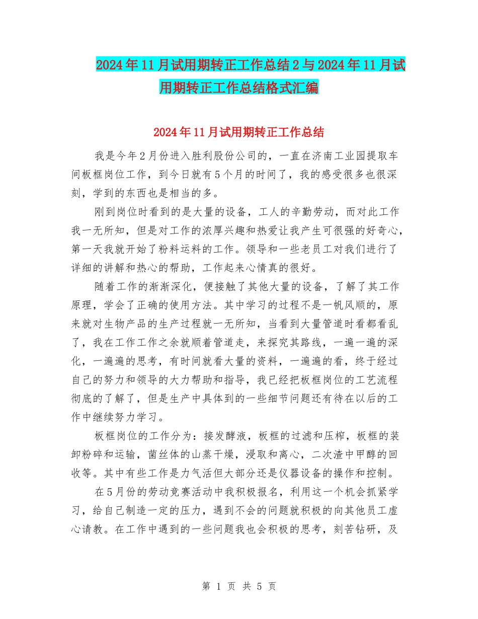 2024年11月试用期转正工作总结2与2024年11月试用期转正工作总结格式汇编_第1页