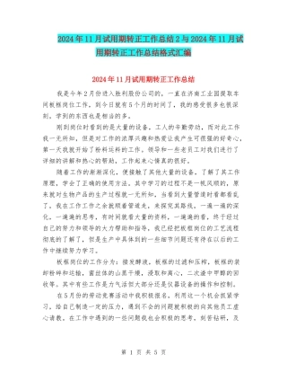 2024年11月试用期转正工作总结2与2024年11月试用期转正工作总结格式汇编