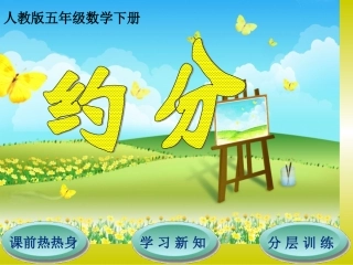 第4单元第4节第2课时约分 (2)