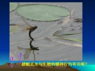 八下第七单元第一章第二节昆虫的生殖和发育（共47张PPT）
