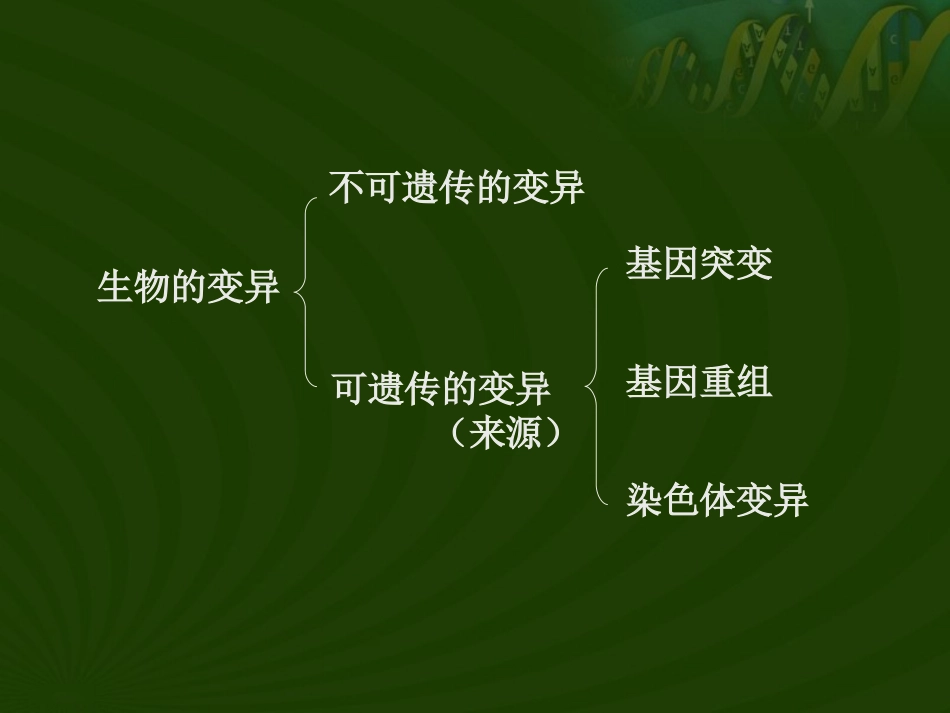 生物的变异基因突变_第2页