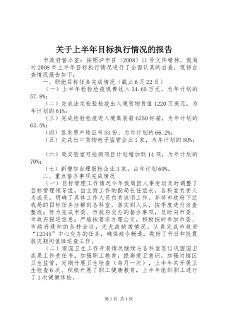 关于上半年目标执行情况的报告