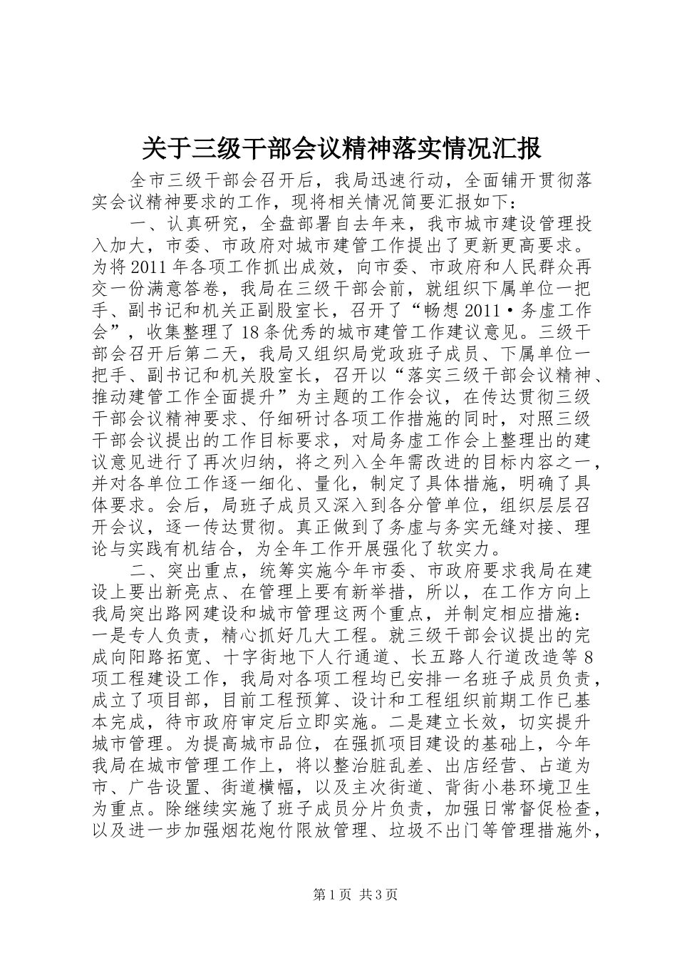 关于三级干部会议精神落实情况汇报_第1页