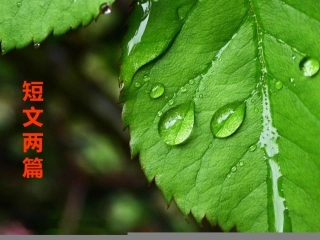 短文两篇课件
