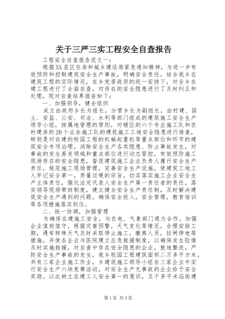 关于三严三实工程安全自查报告