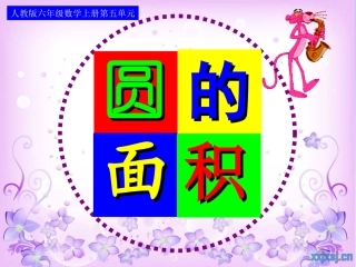 圆的面积 (2)