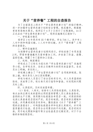 关于“营养餐”工程的自查报告