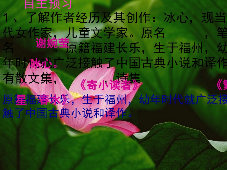 《荷叶母亲》_第3页