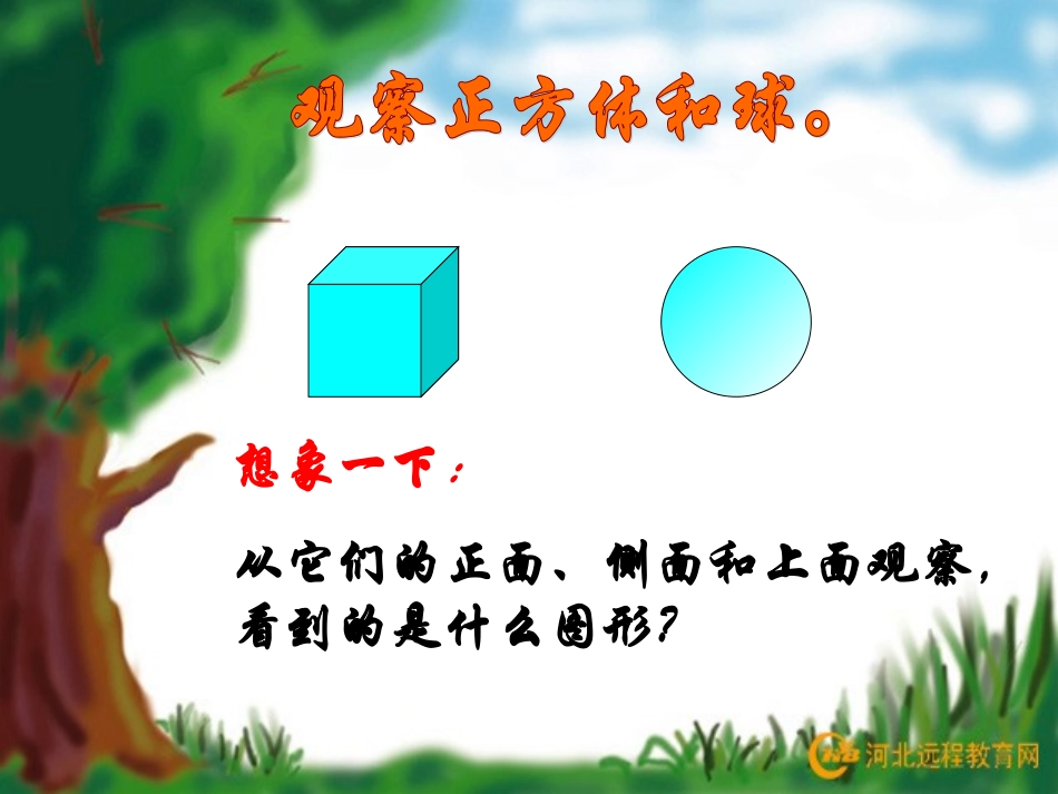 观察物体1 (2)_第2页