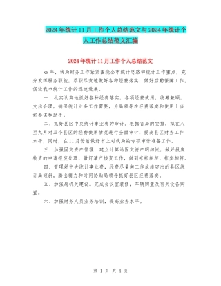 2024年统计11月工作个人总结范文与2024年统计个人工作总结范文汇编
