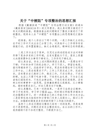 关于“中梗阻”专项整治的思想汇报