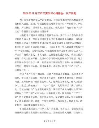 2024年11月三严三实学习心得体会：从严治党