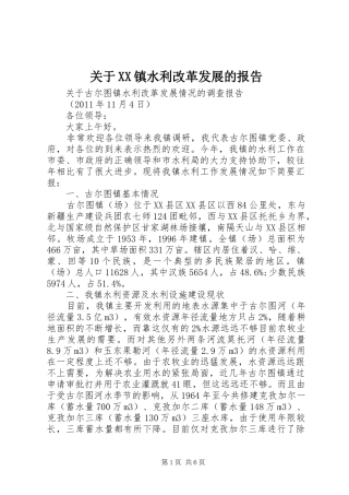 关于XX镇水利改革发展的报告
