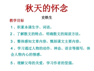 秋天的怀念 (2)