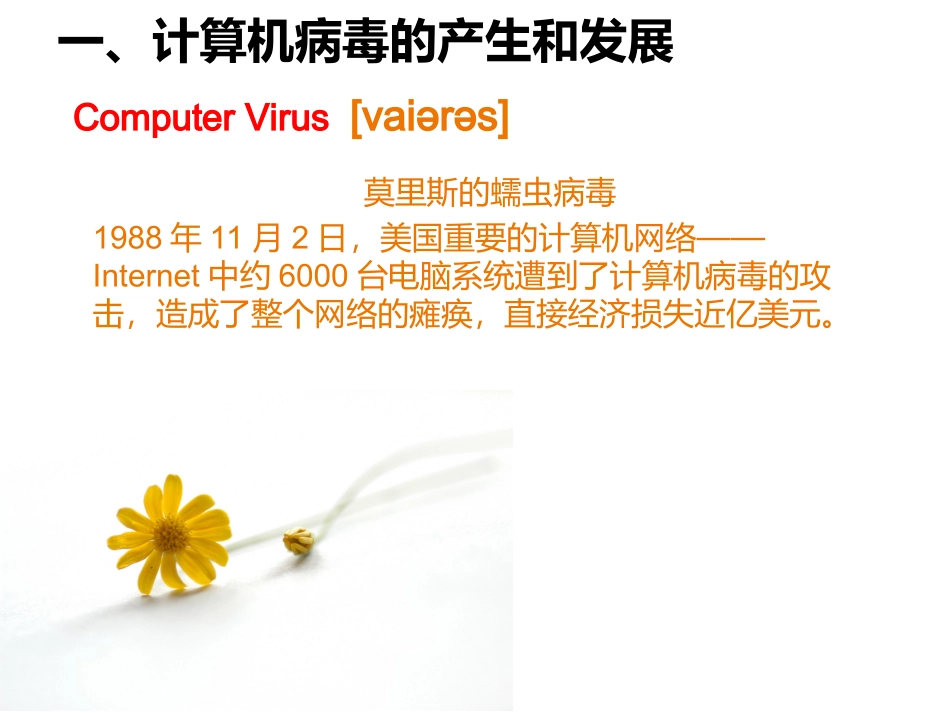 第4课《网络安全》_第2页