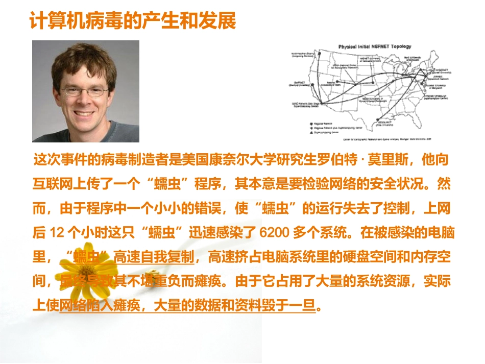 第4课《网络安全》_第3页