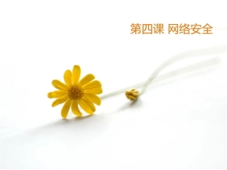第4课《网络安全》