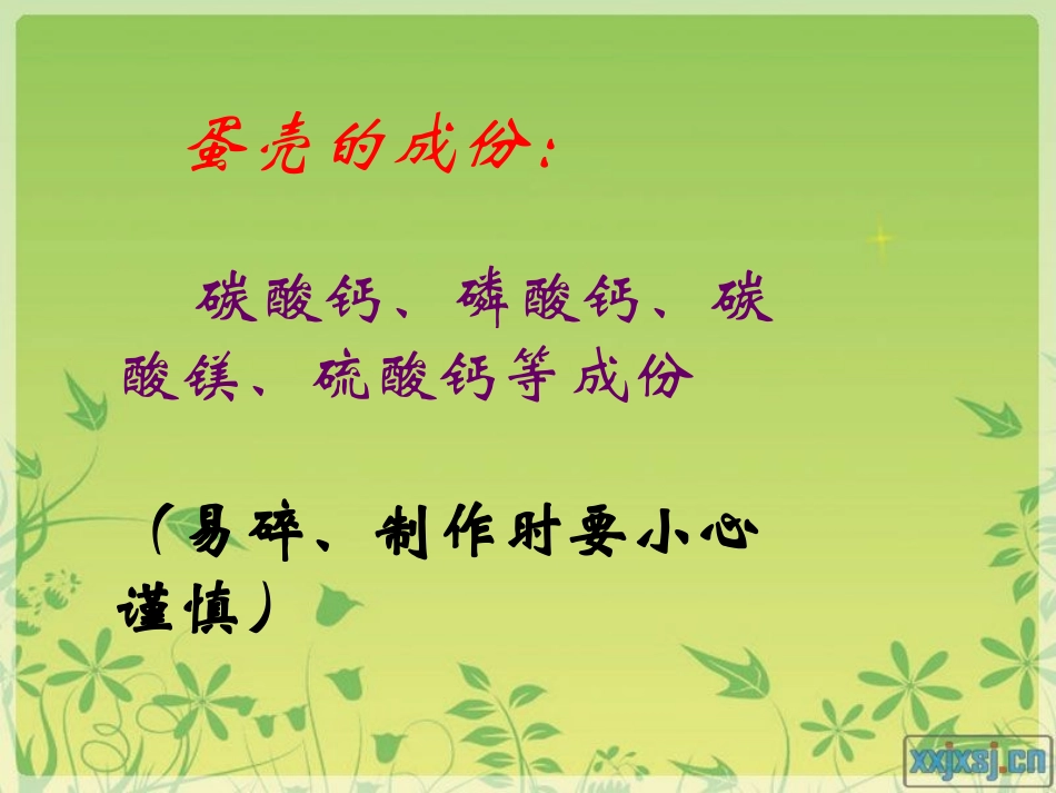 蛋壳娃娃课件定_第3页