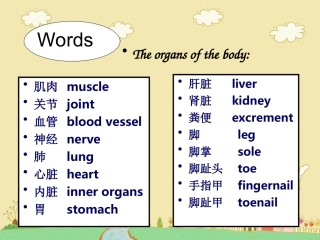 出国前英语培训_2