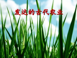 发达的古代农业