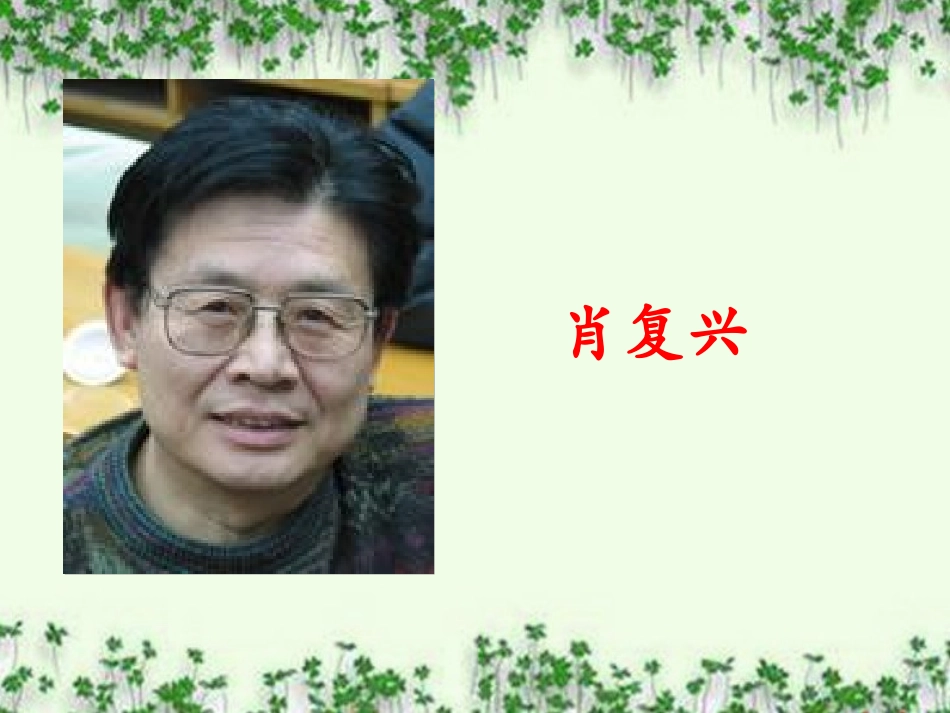 那片绿绿的爬山虎_第2页