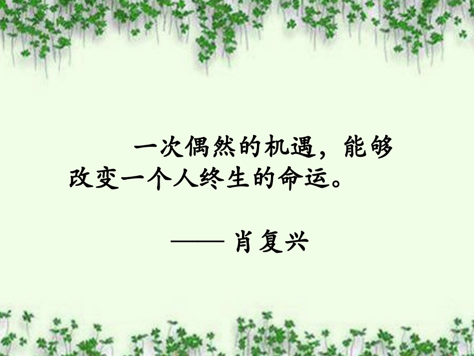那片绿绿的爬山虎_第3页