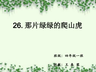那片绿绿的爬山虎