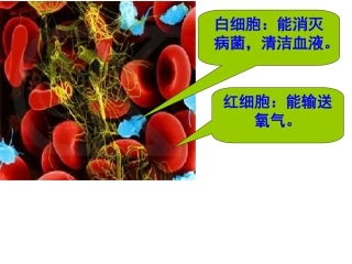 人教版四年级数学上册《整万数改写成以“万”为单位的数》