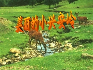 美丽的小兴安岭PPT课件