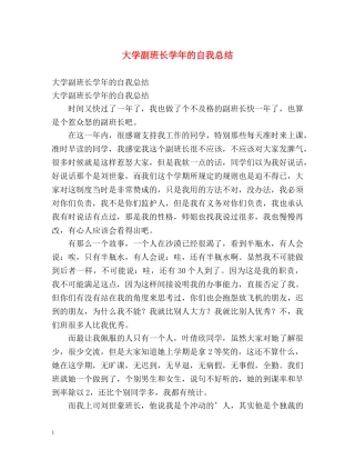 大学副班长学年的自我总结 