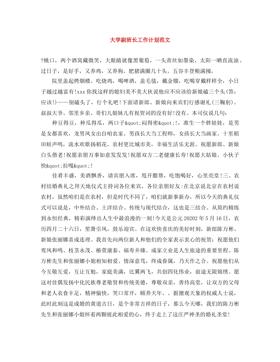 大学副班长工作计划范文 _第1页