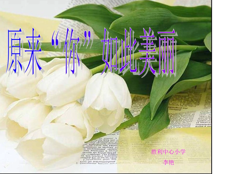 胜利中心小学校园风采_第1页