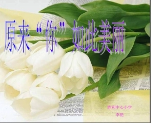 胜利中心小学校园风采
