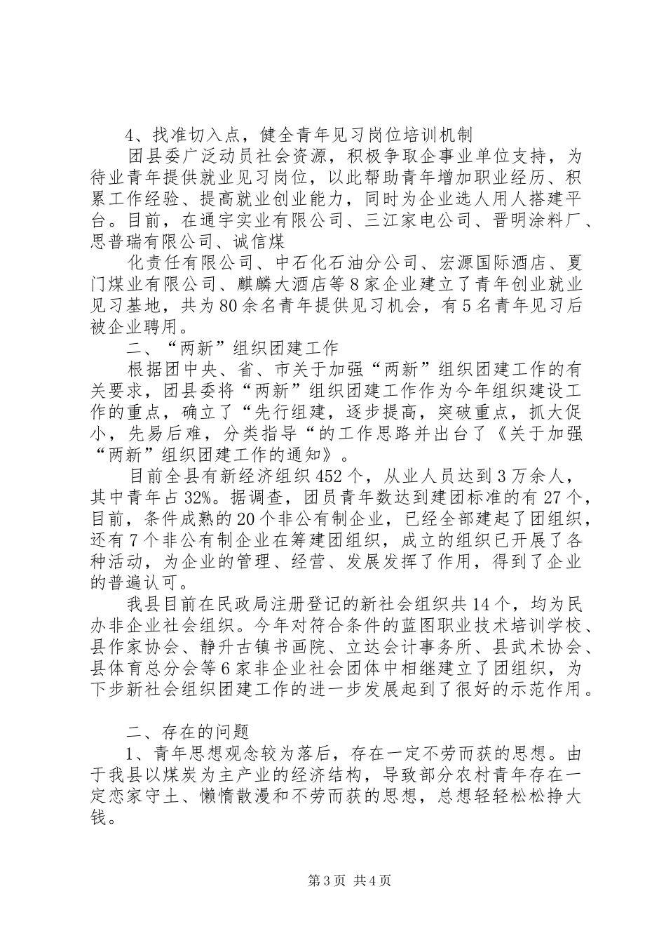 共青团青创工作及两新组织团建情况汇报_第3页