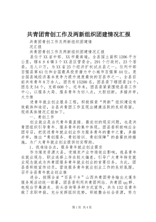 共青团青创工作及两新组织团建情况汇报