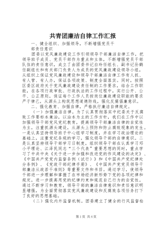 共青团廉洁自律工作汇报