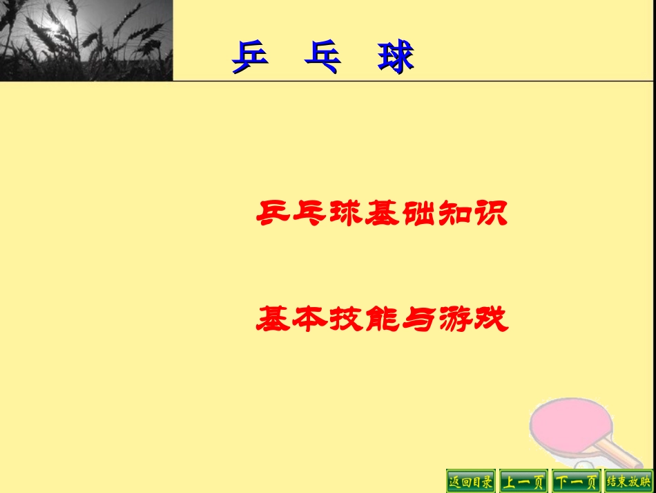 乒乓球PPT课件_第2页